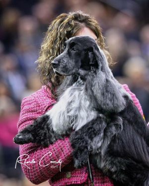 owen28