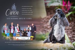 owen34