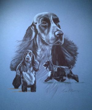 caitlyn008