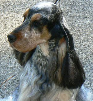 macy03