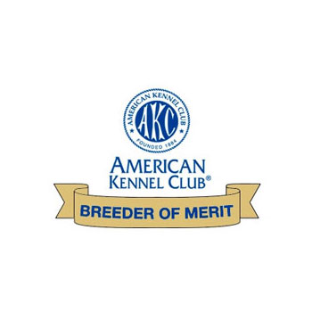 AKC Breeder of Merit