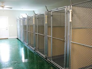 kennel05